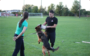 Dog Training for Personal Protection